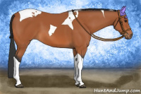 Horse Color:Bay Tobiano 
