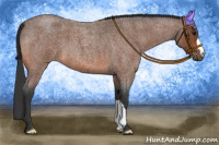 Horse Color:Bay Roan 