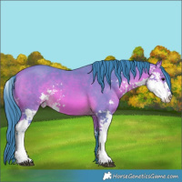 Horse Color:Watercolor Bay Sabino 