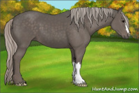 Horse Color:Silver Black 