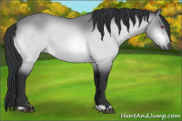 Horse Color:Brown Chinchilla 