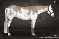 Horse Color:Liver Red Roan Splash 