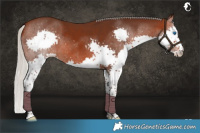 Horse Color:Silver Brown Splash 