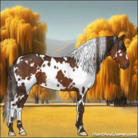 Horse Color:White Spotted Liver Chestnut 