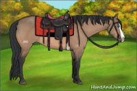 Horse Color:Bay Dun Splash