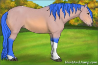 Horse Color:Watercolor Bay Tobiano 