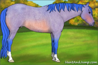 Horse Color:Watercolor Bay Roan 