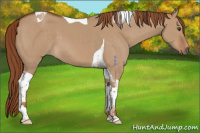 Horse Color:Red Dun Tobiano 