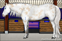 Horse Color:Silver Amber Champagne Dun Splash Tobiano Rabicano 