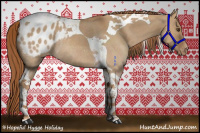 Horse Color:Red Dun Tobiano Appaloosa Rabicano 