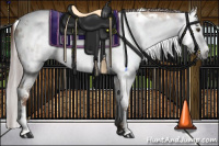 Horse Color:Gray Red Dun Splash Tobiano Appaloosa 