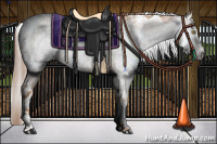Horse Color:Gray Gold Champagne Tobiano Blanket 
