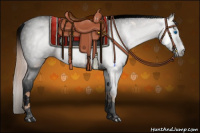 Horse Color:Gray Void White Spotted Gold Champagne Splash Tobiano Frame Snowcap 