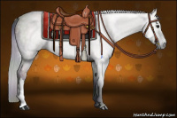 Horse Color:Gray Nacre Grullo Rabicano 