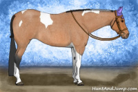 Horse Color:Bay Roan Tobiano 