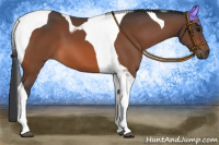 Horse Color:Bay Tobiano 