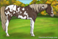 Horse Color:Liver Chestnut Tobiano Frame Appaloosa Rabicano 