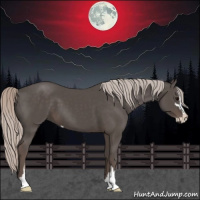 Horse Color:Silver Black Sabino 