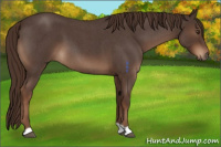 Horse Color:Liver Red Roan 