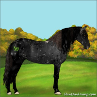 Horse Color:Void Classic Champagne Dun Sabino Rabicano