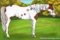 Horse Color:Silver Brown Tobiano Frame 