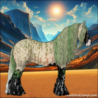 Horse Color:Watercolor Bay Splash and Watercolor Perlino Splash