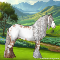 Horse Color:Silver Sable Champagne Frame Appaloosa