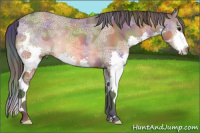 Horse Color:Nacre Bay Ice Splash 