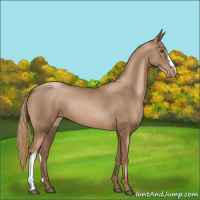 Horse Color:Liver Chestnut Pearl 