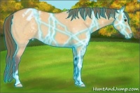 Horse Color:Thunderstruck Buckskin Roan Dun Varnish 