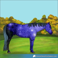 Horse Color:ERROR: UNKNOWN ANOMALY
