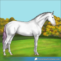 Horse Color:Smoky Grullo Onyx Splash Appaloosa Brindle 