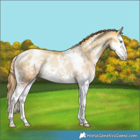Horse Color:White Spotted Classic Champagne Pearl Dun Splash Brindle 