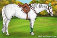 Horse Color:White Spotted Silver Black Frame Appaloosa