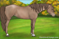 Horse Color:Black Pearl 