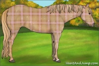 Horse Color:Plaid  Chestnut 