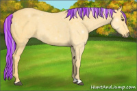 Horse Color:Painted Palomino 