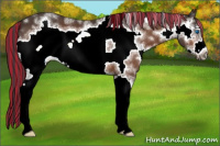 Horse Color:Painted White Spotted Bay Frame 