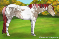 Horse Color:Painted White Spotted Bay Ice Tobiano 