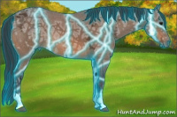 Horse Color:Thunderstruck Bay Ice Sabino Tobiano 