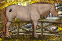 Horse Color:Red Roan Rabicano 