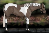 Horse Color:Silver Black Tobiano 