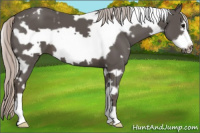 Horse Color:White Spotted Silver Black Frame 