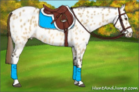 Horse Color:Buckskin Dun Near Leopard