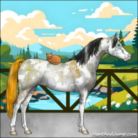 Horse Color:Plaid  White Spotted Brown Dun Mushroom Sabino Rabicano 
