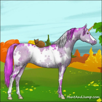 Horse Color:Watercolor Plaid  White Spotted Liver Red Dun Rabicano Brindle 
