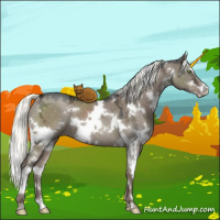 Horse Color:White Spotted Liver Red Dun Ice Mushroom Sabino