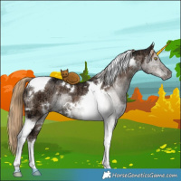 Horse Color:White Spotted Liver Red Dun Ice Tobiano Brindle