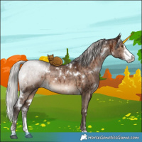 Horse Color:White Spotted Silver Brown Dun Sabino Brindle 