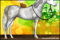 Horse Color:Gray White Spotted Liver Red Dun Mushroom Splash Brindle